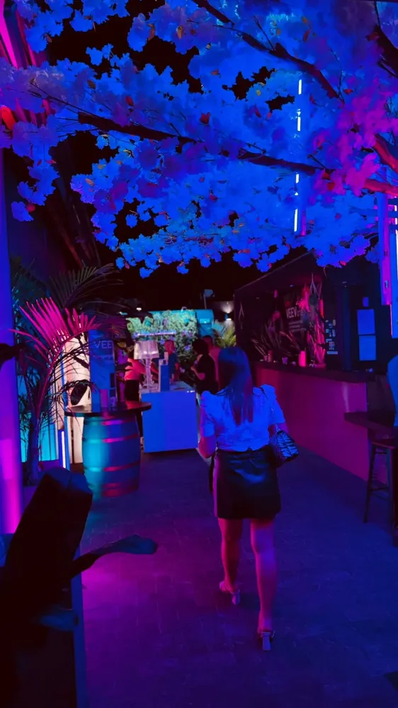 Soirée 3